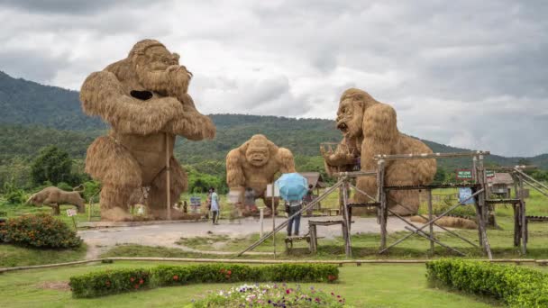 Chiang Mai Tailandia Noviembre 2020 Los Turistas Visitan Área Esculturas — Vídeos de Stock