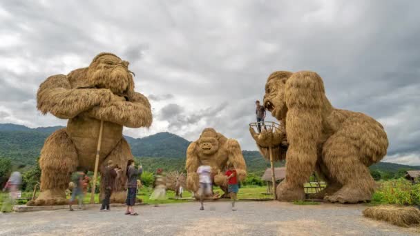 泰国清迈 2020年11月1日 游客们于2020年11月1日在泰国清迈参观了淮东涛的稻草大猩猩雕塑区 — 图库视频影像