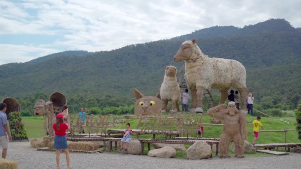 泰国清迈 2020年11月1日 游客们于2020年11月1日在泰国清迈参观了淮东涛的稻草大猩猩雕塑区 — 图库视频影像