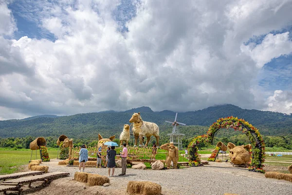 Chiang Mai Tailandia Septiembre 2020 Estatuas Ovejas Otros Animales Exhibición —  Fotos de Stock