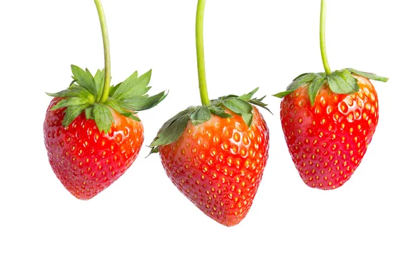 Red strawberries on white background — Stock Photo, Image