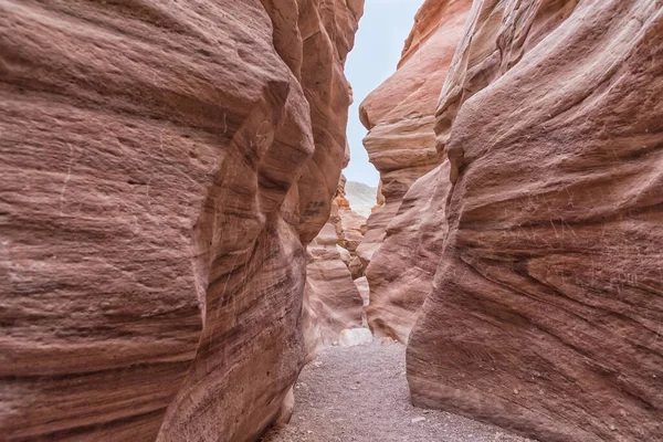 İsrail 'de seyahat et. Kızıl Kanyon, Eilat Dağları 'ndaki en popüler rotalardan biridir. Vadi, kırmızı kumtaşının derinliklerine doğru oyularak dar ve etkileyici bir kanyon oluşturur.