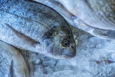 Buzda taze balık. Deniz ürünleri pazarı. Yatay üst görünüm. Kapat.