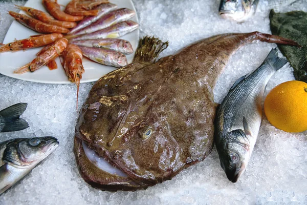 Rana pescatrice o rana-pesce, diavoli di mare, pescatore si trova sul ghiaccio. Pesce del Mare Adriatico. Lophius piscatorius. Frutti di mare — Foto Stock