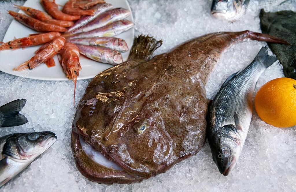 Monkfish or fishing-frogs, frog-fish, angler lies on the ice. Fish