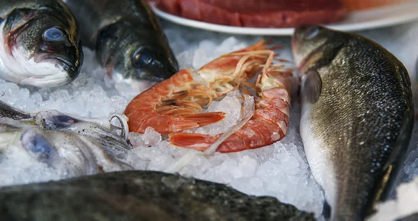 Il fondo marino europeo crudo, il calamaro, i gamberetti si trovano su ghiaccio. Primo piano — Foto Stock