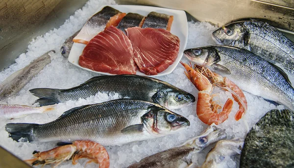 Basso marino europeo crudo, calamari, filetto di trota, gamberetti, dorata sdraiata sul ghiaccio — Foto Stock