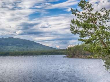 Orman şelale Myantyukoski, üç adım art arda Paanajarvi Milli Parkı'nda taş.