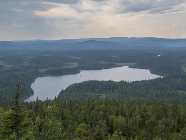 Paanajarvi Nationaal Park, Karelië zomer water landschap. Bovenaanzicht lake van Mount Kivakka — Stockfoto