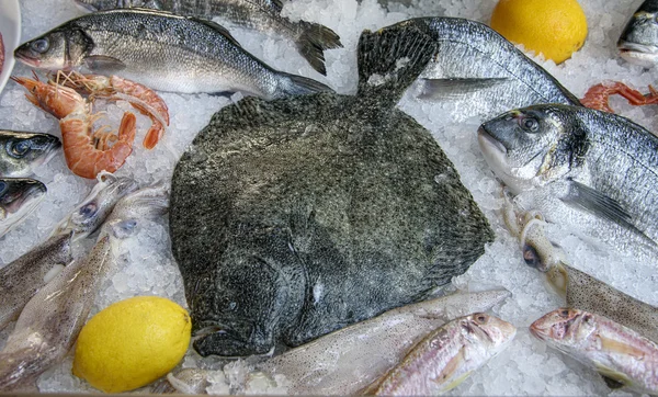 Passera pianuzza cruda, dorata, asino marino, gamberetti giacciono sul ghiaccio. Pesce di mare. Primo piano — Foto Stock