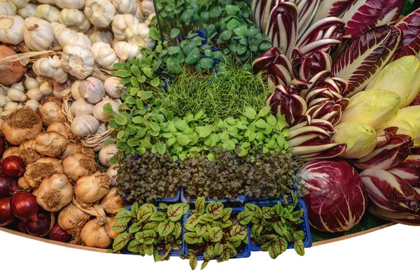 Зеленые ароматные травы, чеснок, капуста, лук, салат цикорий, салат радиккио, французский эндив. Концепция здорового питания — стоковое фото