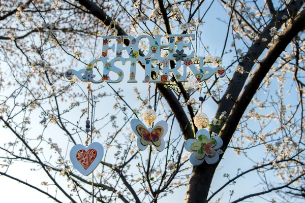 Cartas pintadas Feliz Pascua en alemán en el árbol floreciente. Decoración para el hogar y jardín —  Fotos de Stock