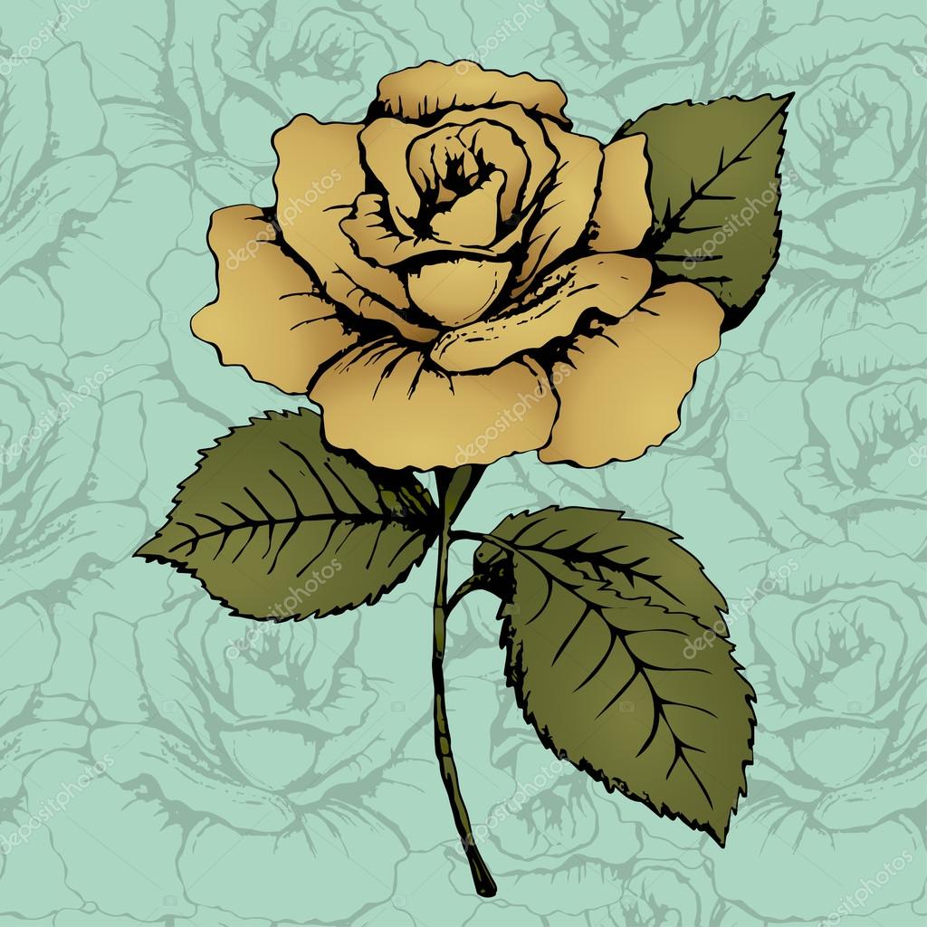 Draw Rose Flower Leaves Best Flower Site
