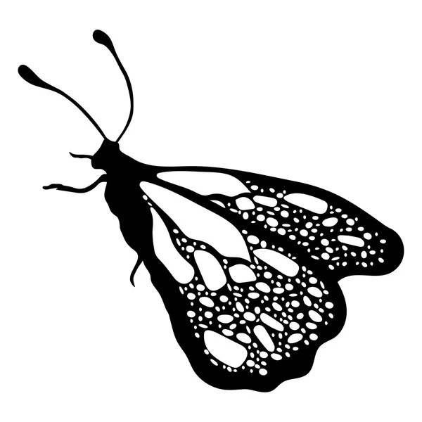 Borboleta, monocromático, livro de colorir, ilustração em preto e branco, desenho à mão, esboço de tatuagem. Inseto estampado exótico, elemento decorativo, impressão. Ilustração vetorial — Vetor de Stock