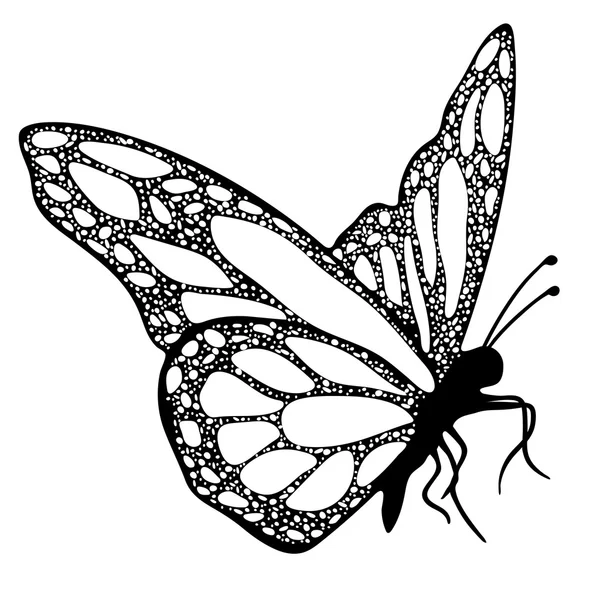 Borboleta, monocromático, livro de colorir, ilustração em preto e branco, desenho à mão, esboço de tatuagem. Inseto estampado exótico, elemento decorativo, impressão. Ilustração vetorial — Vetor de Stock