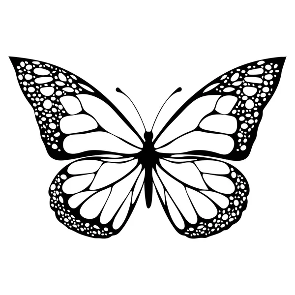 Motýlí, černobílá, barevná kniha, černobílé ilustrace, Ruční kresba, Tetovaný náčrt. Exotické vzory hmyz, dekorativní prvky, tisk. Vektorová ilustrace — Stockový vektor