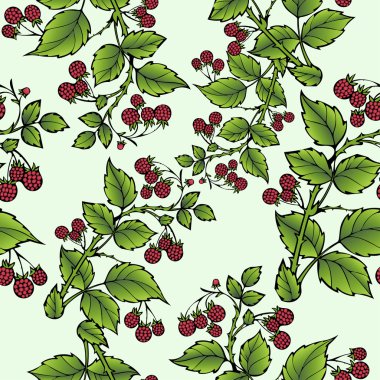 Ahududu dikişsiz desen Dalları, berry arka plan. Çizim meyve, grafik sanatı, karikatür. Tasarım için kumaş, baskı, duvar kağıdı, sarma. Vektör çizimi
