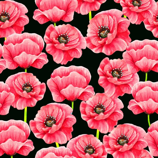 Poppy Flowers Watercolor Seamless Pattern — Stock Photo, Image