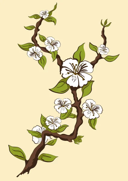 Kwitnąca jabłko. Gałąź jabłoni z białych kwiatów na żółtym tle. Ilustracja wektorowa — Wektor stockowy