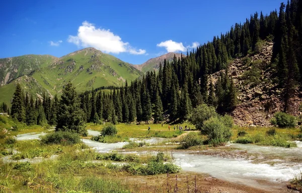 Büyük Almatı Gorge.