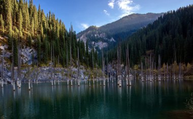 Kaindy Gölü Kungei Alatau Dağları.
