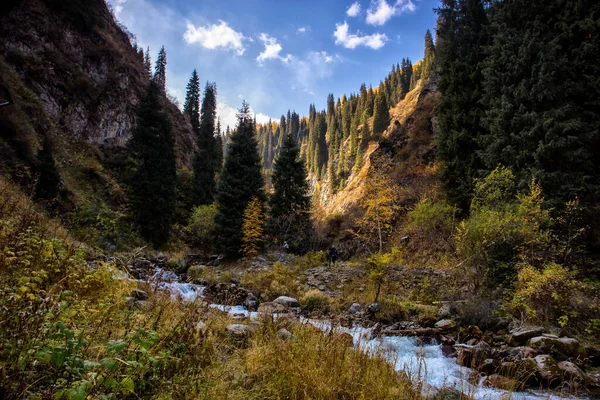 Пейзаж Гірському Лісі Теплу Осінь — стокове фото