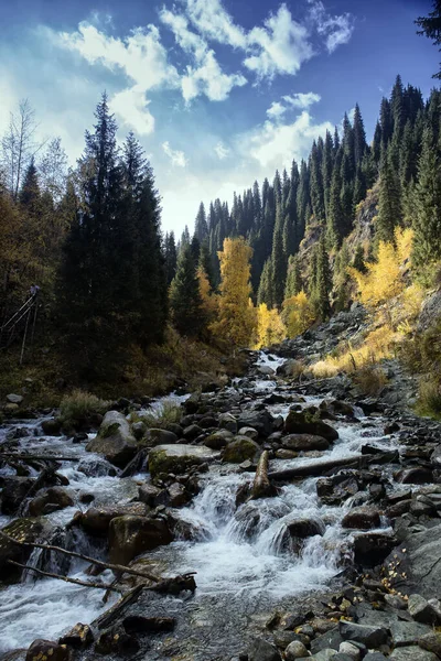 Landschap Een Bergbos Warme Herfst — Stockfoto