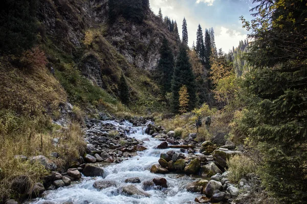 Landschap Een Bergbos Warme Herfst — Stockfoto