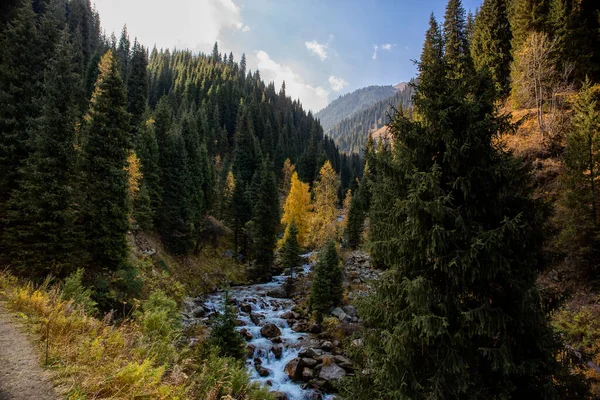 Пейзаж Горном Лесу Теплой Осенью — стоковое фото