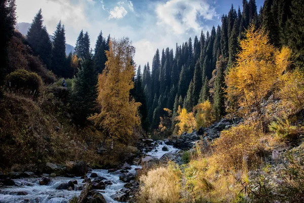 Paesaggio Una Foresta Montagna Autunno Caldo — Foto Stock