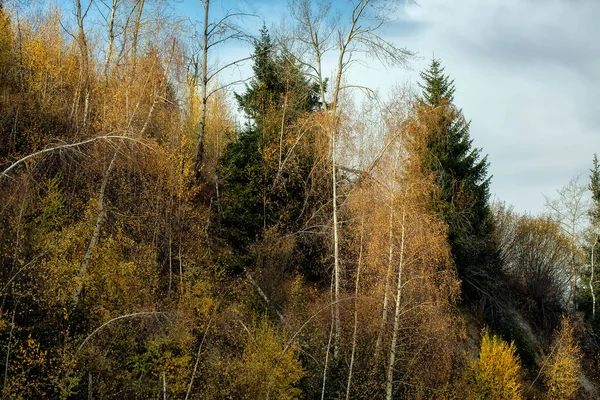Kilátás Hegyi Erdőben Meleg Ősszel — Stock Fotó