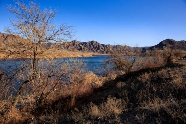 Ili nehrinin kıyısında sonbahar manzarası.