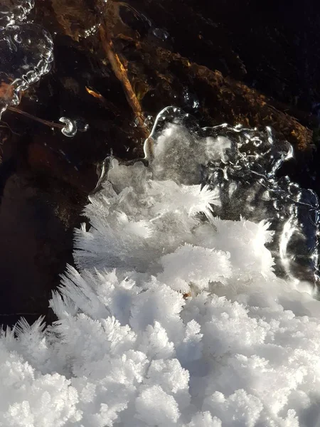 Soğuk Suda Buz — Stok fotoğraf