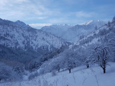 Bir kış sabahı dağlarda manzara..