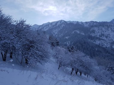 Bir kış sabahı dağlarda manzara..
