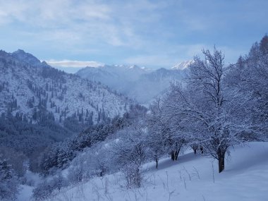 Bir kış sabahı dağlarda manzara..