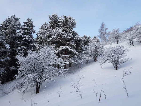 Krajobraz Górach Zimowy Poranek — Zdjęcie stockowe