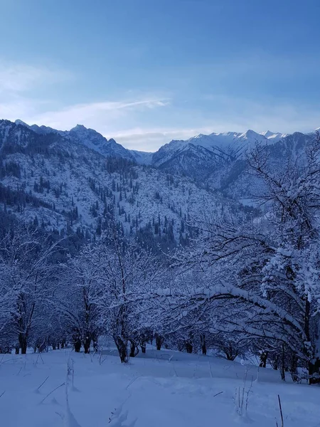 Paisagem Nas Montanhas Uma Manhã Inverno — Fotografia de Stock