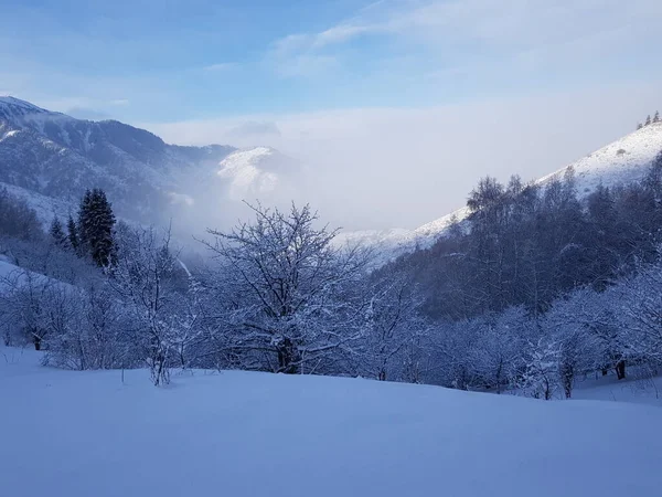 Paisagem Nas Montanhas Uma Manhã Inverno — Fotografia de Stock