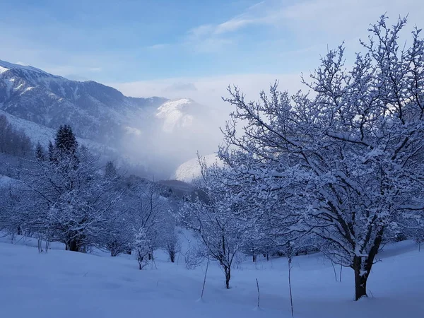 Paisagem Nas Montanhas Uma Manhã Inverno — Fotografia de Stock