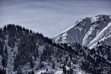 Bir kış günü dağların üzerinde bulutlarla kaplı bir manzara..