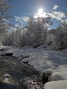 Nehir sabah karların arasında dağ ormanında.