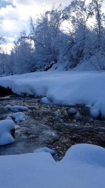 Sabahları taze kar altında bir dağ nehri manzarası.