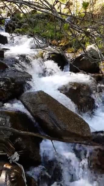 Agua Pura Los Glaciares Las Montañas — Vídeos de Stock