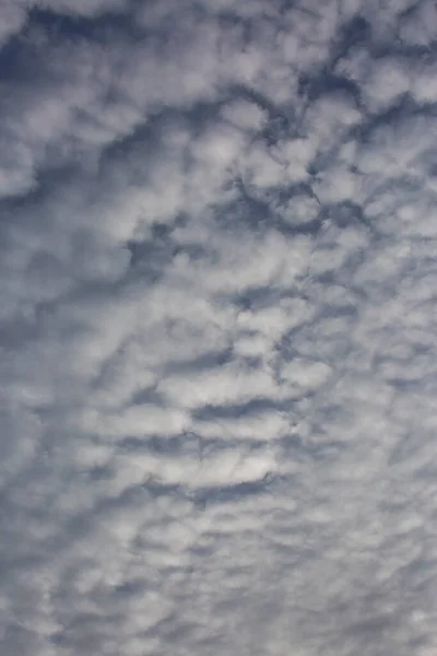 Arka Plan Doku Bulutlar Mavi Gökyüzüne Karşı Beyaz Kuzular — Stok fotoğraf
