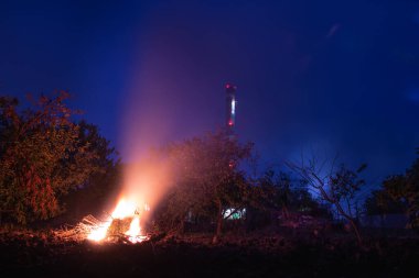 Gece manzarası, uzun süre maruz kalma, büyük bir şenlik ateşi ve aydınlatılmış ağaçlar.
