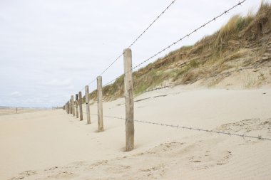 View on the beach and sand dunes in the Netherlands clipart