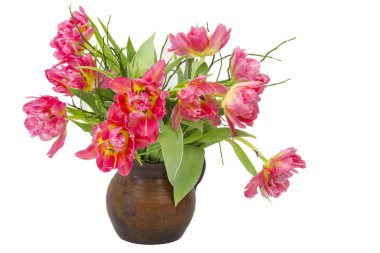 Vazodaki kırmızı laleler