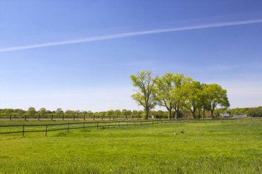 Alman kırsal alanı, Aşağı Ren Bölgesi