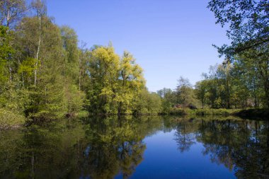 Alman kırsal alanı, Aşağı Ren Bölgesi